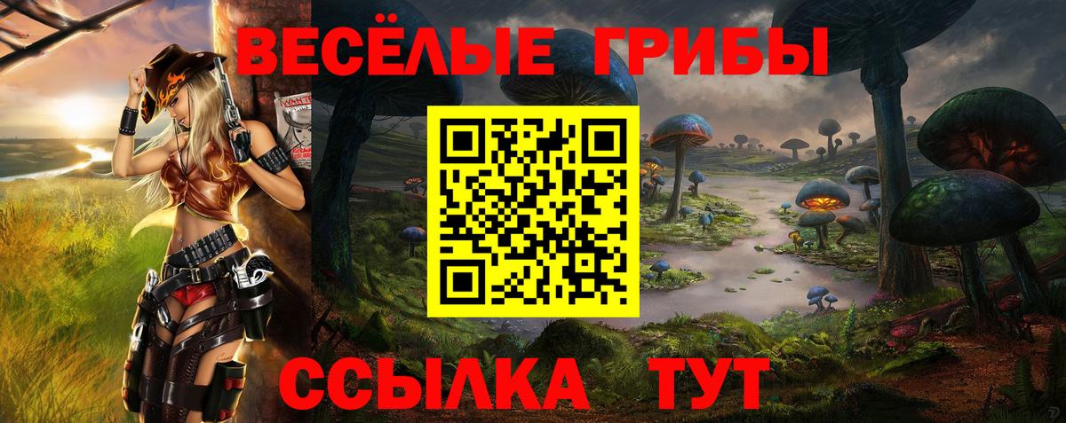 Псилоцибиновые грибы прущие грибы Кудрово
