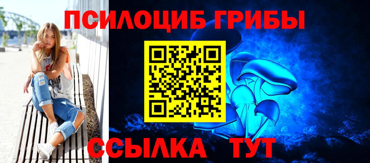 Кудрово  Галлюциногенные грибы Psilocybe  Вход с VPN 